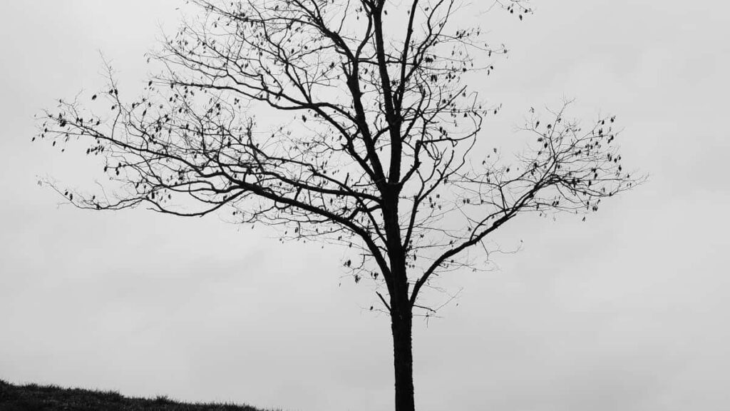 تعرف على جدول أسعار إعلانات سناب شات في فرنسا لعام 2025 من منظور السودان