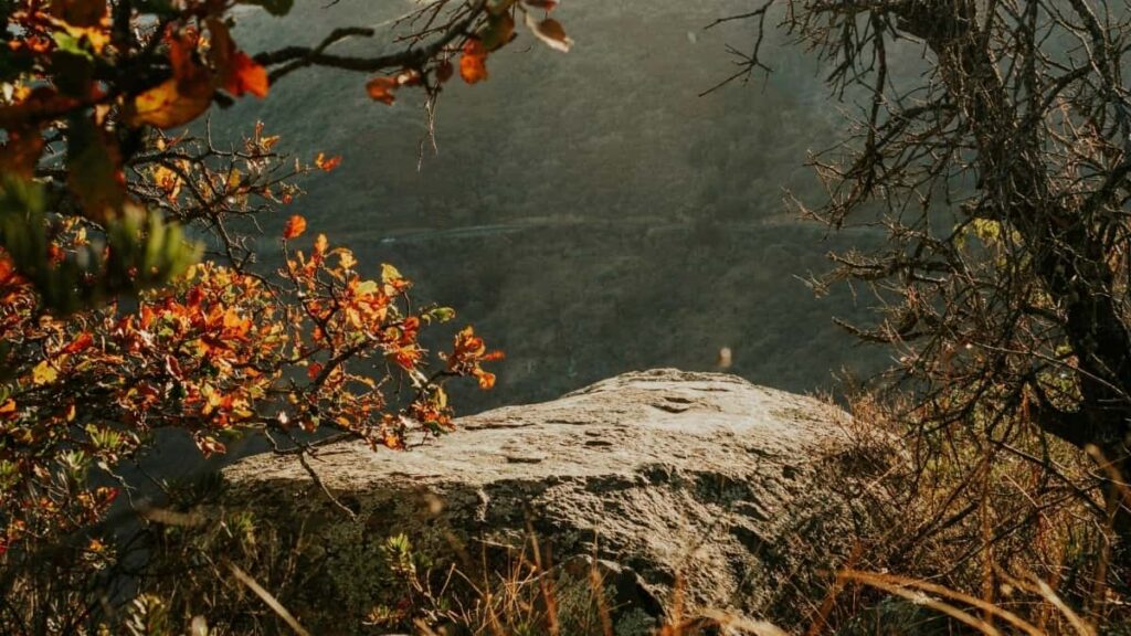 أسعار إعلانات بينتيريست 2025 في النرويج للسوق السوداني