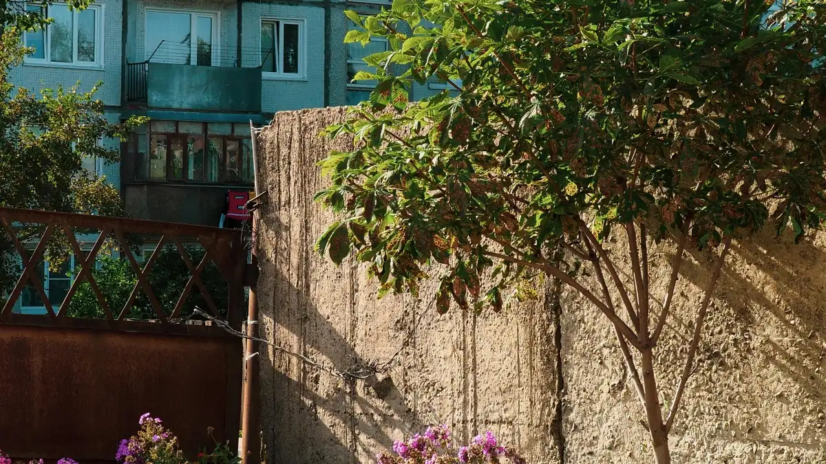 Sudan advertisers: Find Estonia Disney+ creators fast
