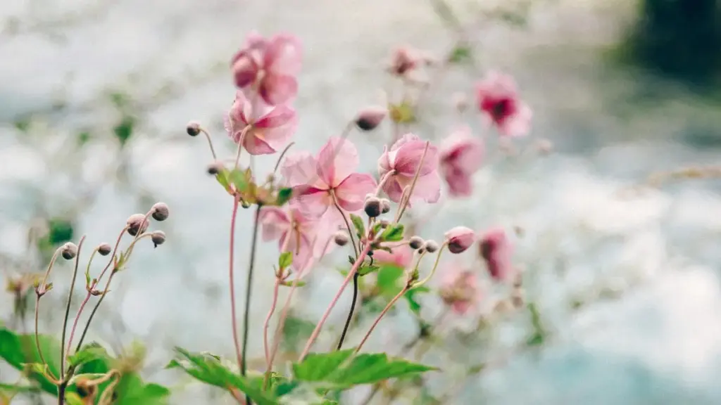 دليل عملي للعلامات والوكالات في السودان للعثور على صانعين يونانيين على Etsy والتعاون مع كبار المبدعين لتطوير خطوط منتجات مربحة.