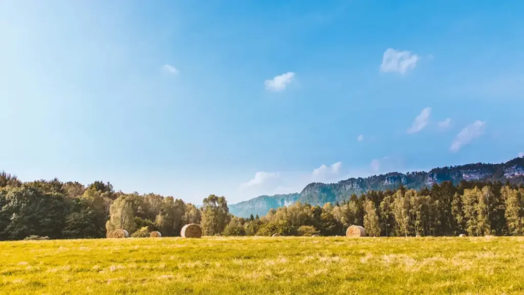 دليل عملي لمسوقي تطبيقات اللياقة في السودان: خطوات محددة لاكتشاف وصناعة شراكات مع صانعي محتوى YouTube في الإمارات لرفع التنزيلات والتفاعل.