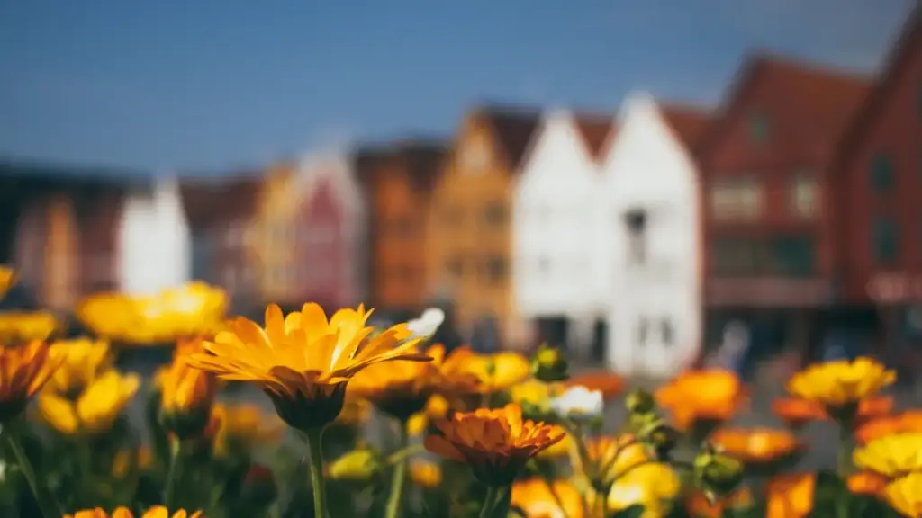 دليل عملي لمسوقين سودانيين: طرق العثور على مبدعين عمانيين على Spotify لتوجيه مستخدمين لتطبيقات اللياقة، مع خطوات تنفيذية، أمثلة عملية، ومصادر موثوقة.