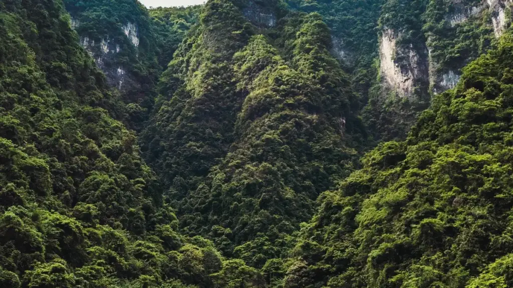 دليل عملي للمبدعين السودانيين عن كيف توصل لعلامات كولومبيا على منصة Bilibili وتعرض عروض مباشرة للمنتجات — خطوات، قنوات، ونصائح عملية مع اعتبارات خصوصية.