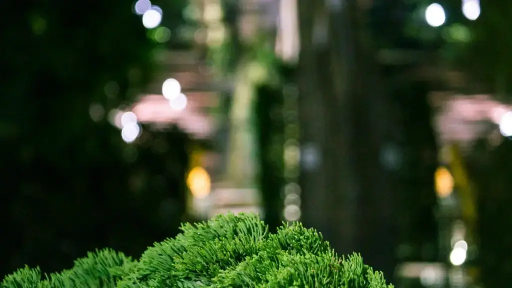 دليل عملي للصانعين في السودان: خطوات مباشرة ومثاليات محلية لتوصيل عروض مراجعة ميزات ألعاب جديدة لعلامات أردنية على Facebook بطريقة احترافية وفعّالة.