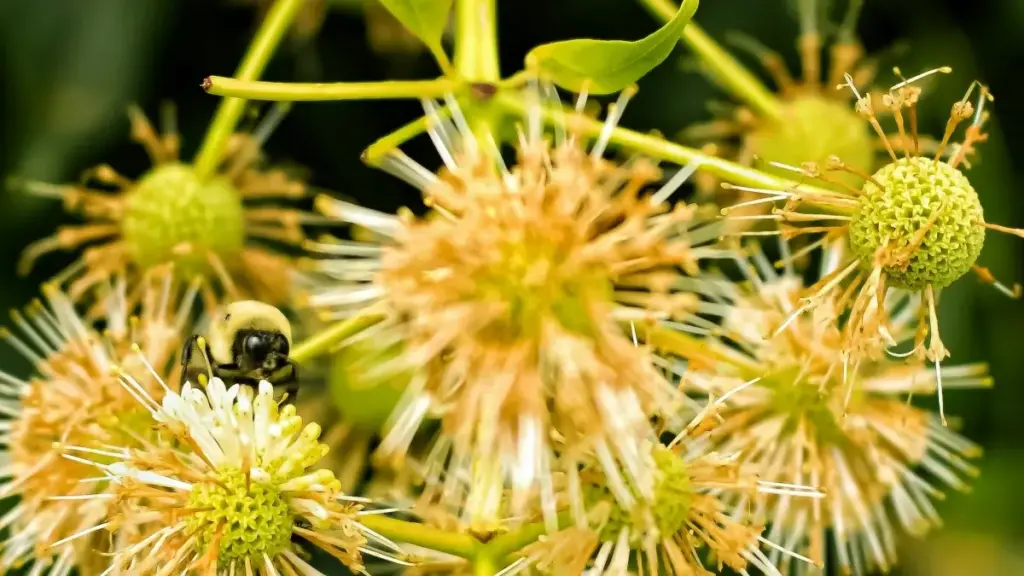 دليل عملي للمعلنين في السودان عن طرق العثور على منشئين فيتناميين لصناعة أدلة مدن محلية على Amazon ووسائل التواصل، مع خطوات تواصل، أمثلة وتنبؤات 2026.
