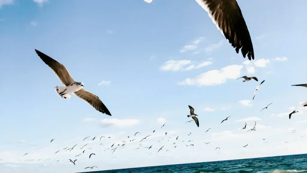 دليل عملي لصانعي المحتوى في السودان عن كيفية التواصل مع ماركات أوزبكستان عبر Hulu لطلب عينات مجانية، مع استراتيجيات محلية وأمثلة حقيقية.