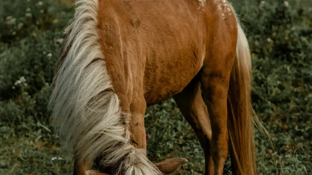 دليل عملي للمعلنين في السودان للعثور على منشئي محتوى ميانماريين على Moj وإطلاق حملات تركز على التفاعل.