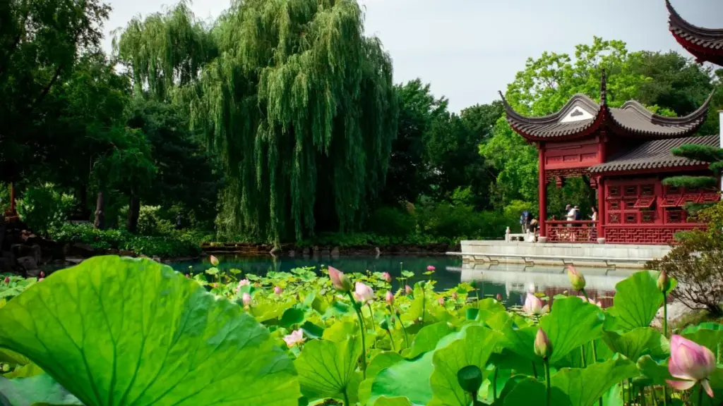 دليل عملي للمعلنين في السودان للعثور على مبدعي "Slovenia Josh" للتعاون مع إنفلونسرز ستايل — خطوات، قنوات، تكاليف ومخاطر محلية.