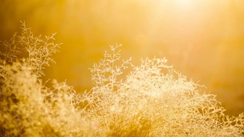 دليل عملي للمبدعين في السودان عن كيف تتواصل مع ماركات كندية على Etsy لمراجعة منصات تعليمية، مع تكتيكات اتصال، أمثلة ونصائح تسويقية مبنية على بيانات 2026.