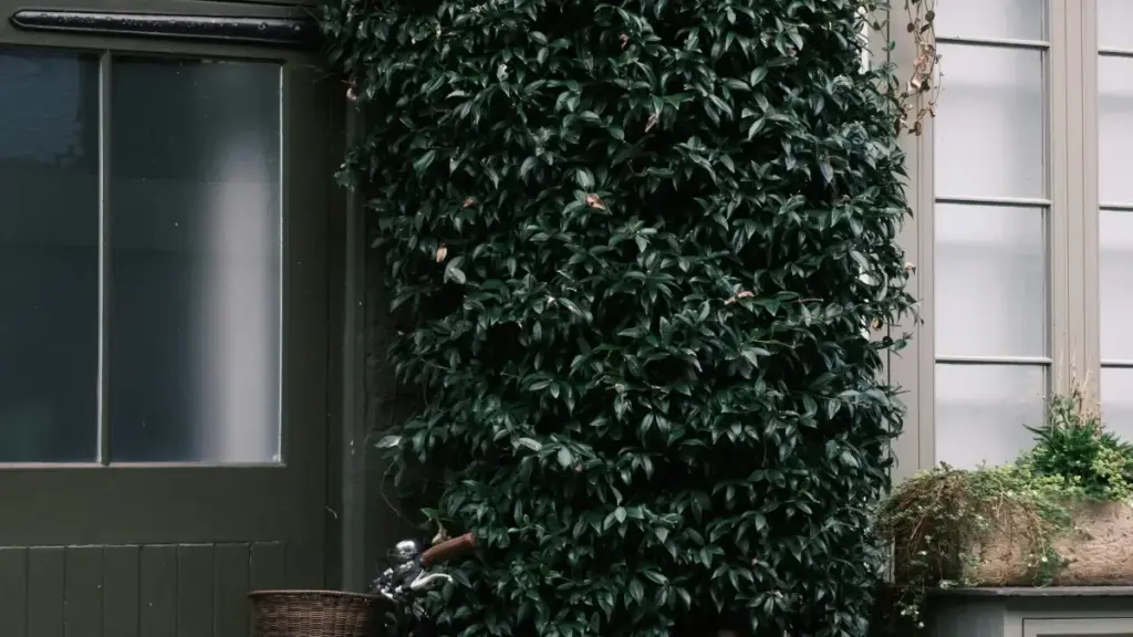 دليل عملي للمعلنين في السودان عن كيف تلاقو مبدعي KakaoTalk بالبحرين وتشغلو حملات مبنية على التفاعل، مع استراتيجيات محلية وأمثلة من مشهد الـcreator economy.