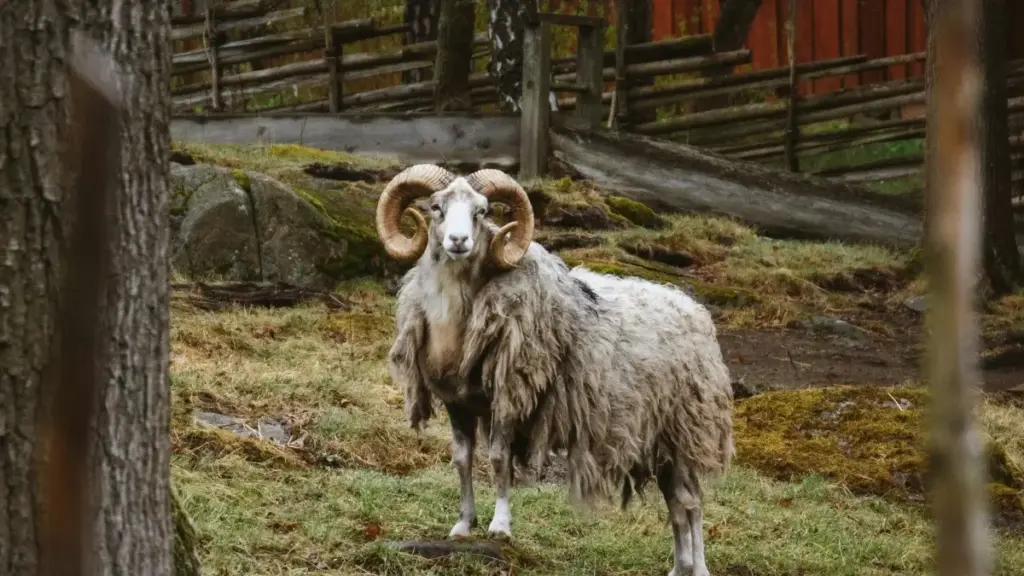 دليل عملي لمسوقي البراندات النقية في السودان: خطوات محددة للعثور على مبدعين من Georgia متصلين بـDisney+ لرفع الوضوح والتفاعل.