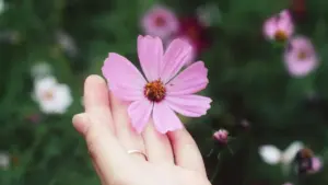 دليل عملي للمبدعين في السودان عن طرق التواصل مع براندات اليونان على Instagram لعرض فنون صااعدة، تكتيكات محلية، أمثلة واقعية ومصادر حديثة.