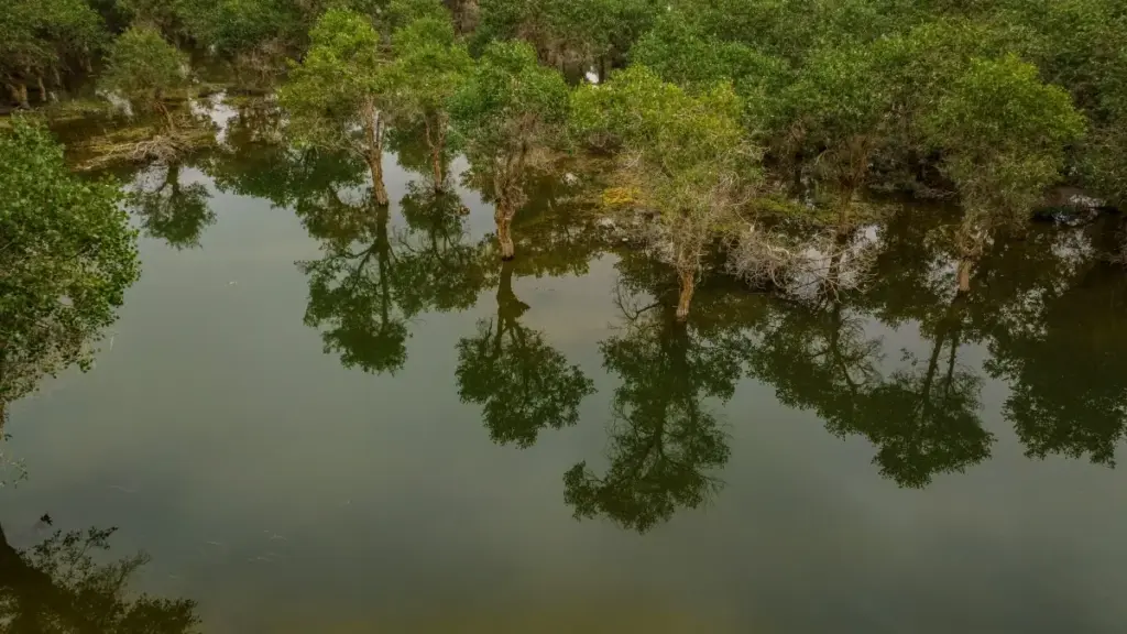 دليل عملي للمعلنين في السودان للعثور على مبدعي Rumble من كولومبيا واستهداف جمهور الموسيقى عبر محتوى المبدعين، مع taktik محلية وتحليلات سوشال وموارد ذات صلة.