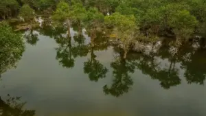 دليل عملي للمعلنين في السودان للعثور على مبدعي Rumble من كولومبيا واستهداف جمهور الموسيقى عبر محتوى المبدعين، مع taktik محلية وتحليلات سوشال وموارد ذات صلة.