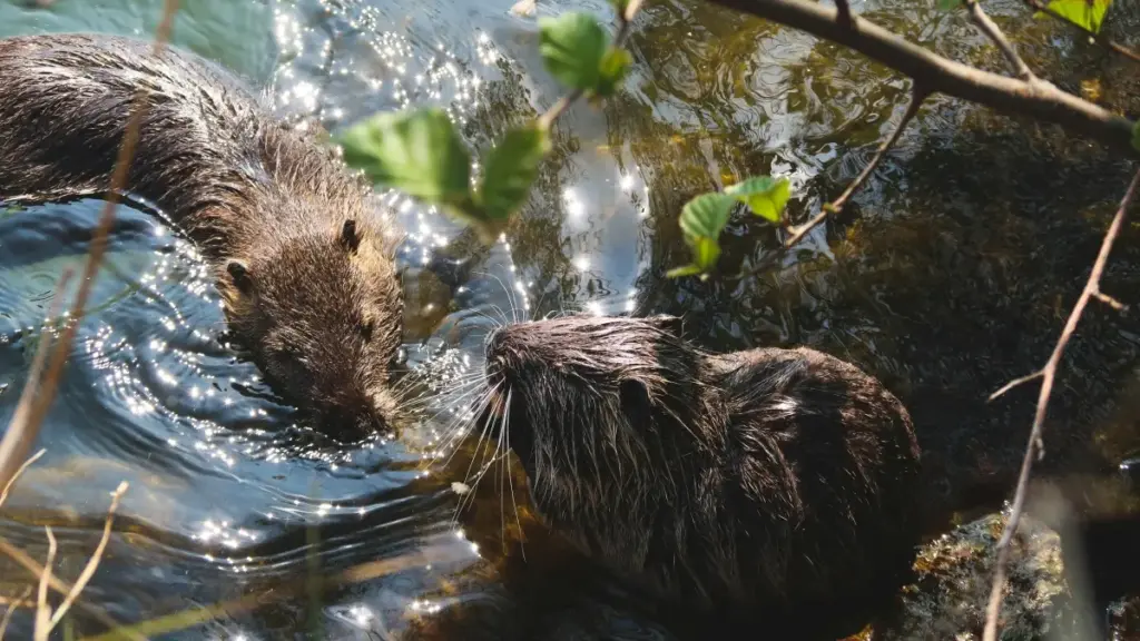 دليل عملي للمعلنين في السودان عن كيفية العثور على مُبدعين من بورتو ريكو على LinkedIn للتعاون مع مؤثري الأزياء—نصائح محلية، أمثلة واقعية واستراتيجيات تنفيذية.
