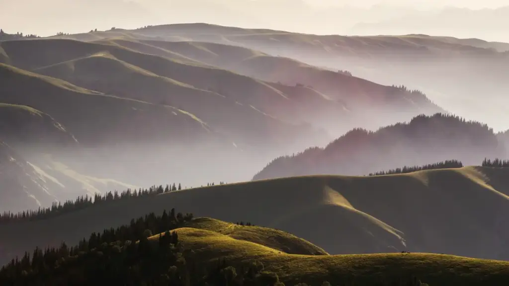 دليل عملي للمعلنين في السودان عن إيجاد والتعاقد مع مبدعي Douyin في فنلندا لاستهداف محبي الموسيقى عبر محتوى مبدعين محلي وفعال.