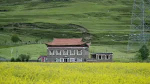 دليل عملي للصانعي المحتوى في السودان عن كيفية الوصول لماركات المكسيك المرتبطة بـNetflix وبناء شراكات تجارية طويلة الأمد، مع أمثلة محلية وحملات ناجحة.