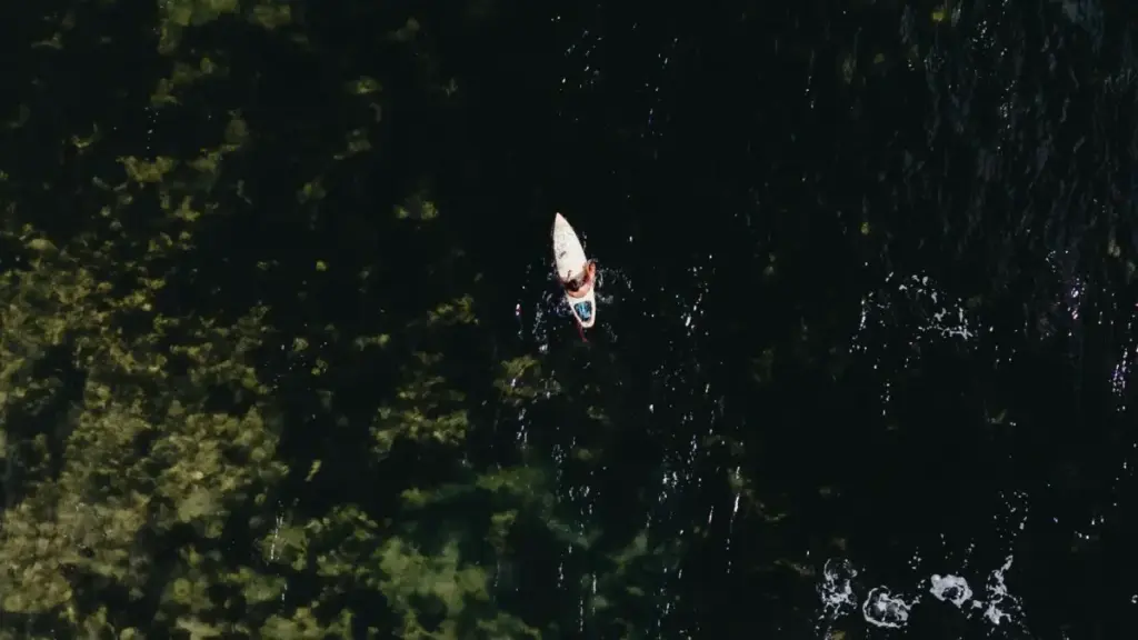 دليل عملي تلقى بيهو صناع محتوى في النمسا على Takatak/TikTok، وتختبر الطلب الحقيقي قبل تصرف ميزانية كبيرة.