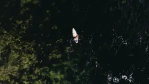 دليل عملي تلقى بيهو صناع محتوى في النمسا على Takatak/TikTok، وتختبر الطلب الحقيقي قبل تصرف ميزانية كبيرة.