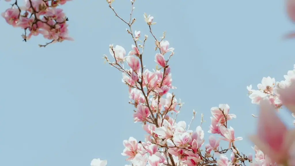 دليل عملي للبراندات في السودان عشان تلاقي كرييتورز LinkedIn بالعراق وتوصل لبيوتي بلوجرز بسيـدنج شغّال ومقنع.