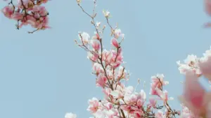 دليل عملي للبراندات في السودان عشان تلاقي كرييتورز LinkedIn بالعراق وتوصل لبيوتي بلوجرز بسيـدنج شغّال ومقنع.