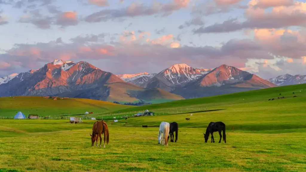 دليل عملي للمبدعين في السودان: كيف تلقى براندات عُمانية على Line وتكلمهم بطريقة تخليك أقرب لفرص الكامبينات.