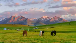 دليل عملي للمبدعين في السودان: كيف تلقى براندات عُمانية على Line وتكلمهم بطريقة تخليك أقرب لفرص الكامبينات.