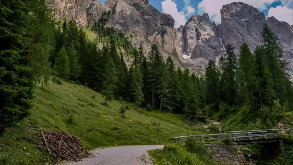 دليل عملي لمبدعين في السودان: خطوات واقعية للوصول لماركات كمبوديا على Spotify والتعاون في تحديات ستايلينغ، مع تكتيكات سوشال-سيو وفاندوم.