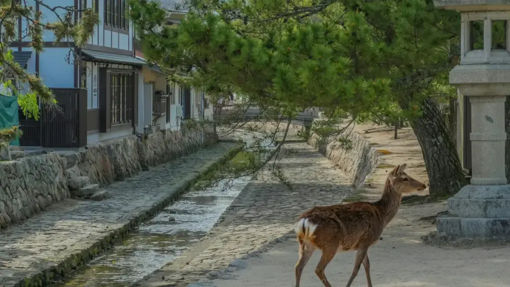 لو داير تراجع معدات رياضية لبراندات من مالطا عبر ShareChat، هنا تلقى طريقة عملية للوصول، الرسالة الصح، وكيف تبني ثقة وتجيب شغل.