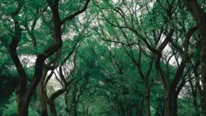 دليل عملي لناس السودان: كيف تدخل براندات سنغافورة من Zalo وتجهّز عرض شغل مقنع مع ناشري الألعاب بدون لف ودوران.