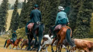 دليل عملي للماركات في السودان: كيف تدور على مبدعين تايلاند لـ Apple Music وتطلع تحديات مدفوعة تمشي مع السوق وما تبان إعلان ساي.